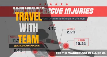 Do Injured Baseball Players Travel with the Team: The Role of Injured Players in Team Travel