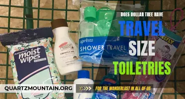 Does Dollar Tree Carry Travel-Size Toiletries?