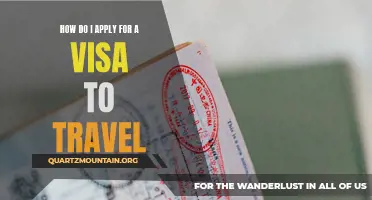 Steps to Apply for a Visa to Travel