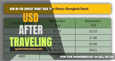 How to Convert Currency Back to USD After Traveling