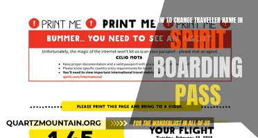 Your Guide to Updating the Traveler Name on Spirit Airlines Boarding Pass