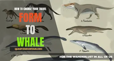 Transform Your Travel Experience: Changing into a Whale for an Unforgettable Journey
