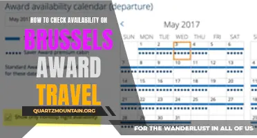 How to Check Availability for Brussels Award Travel