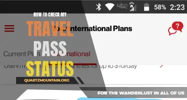 A Complete Guide on Checking the Status of Your Travel Pass
