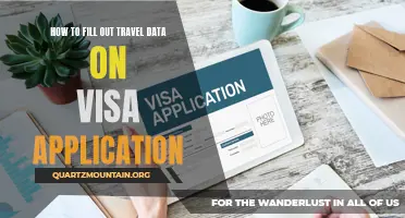 Mastering the Art of Completing Travel Data on a Visa Application