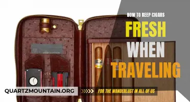 Keeping Cigars Fresh When Traveling: A Guide to Proper Storage