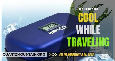 The Ultimate Guide to Keeping HGH Cool While Traveling
