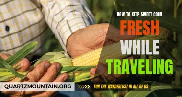 Tips for Keeping Sweet Corn Fresh While Traveling