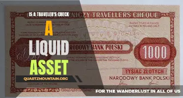 Exploring the Liquid Asset Potential of Traveler's Checks