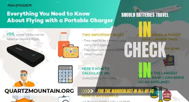 Exploring the Pros and Cons of Allowing Batteries to Travel in Checked Luggage
