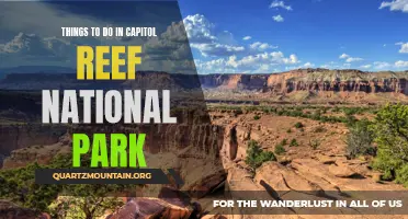 14 Amazing Things to Do in Capitol Reef National Park