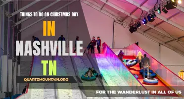 10 Festive and Fun Activities to Enjoy on Christmas Day in Nashville, TN