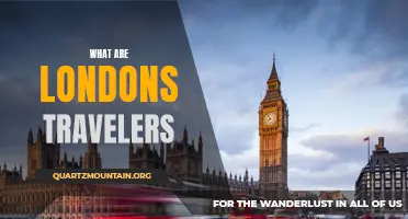 Discovering the Diverse Types of London Travelers