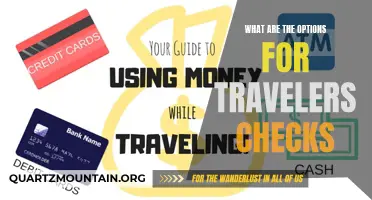 Exploring the Range of Options for Travelers Checks