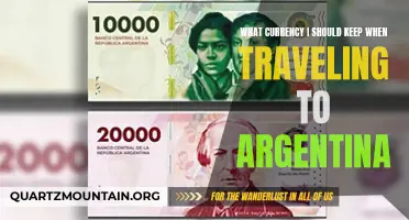 The Best Currency to Carry when Traveling to Argentina