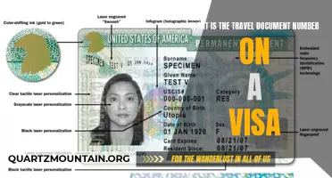 Understanding the Importance of the Travel Document Number on a Visa