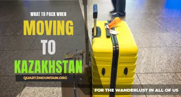 Essential Items to Pack When Moving to Kazakhstan