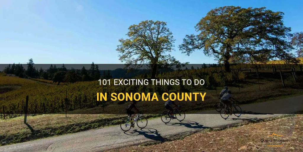 101 things to do in sonoma county