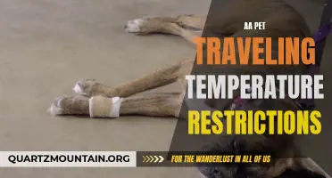 Navigating Airline Travel: Understanding Pet Traveling Temperature Restrictions