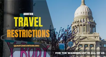 The Impact of Abortion Travel Restrictions on Women's Access to Healthcare