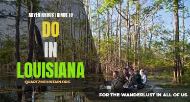 Louisiana Adventure: Exploring the Wild and Wonderful