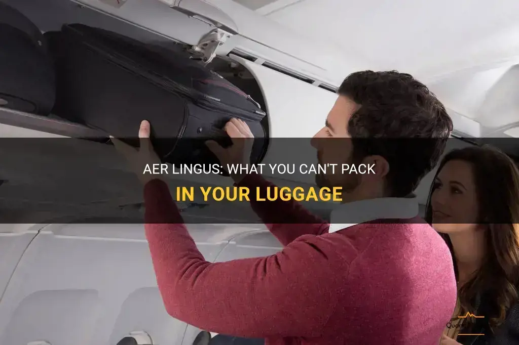 aere lingus what is prohibited to pack