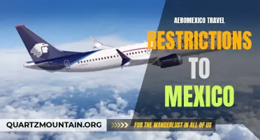 A Guide to Aeromexico Travel Restrictions for Flying to Mexico