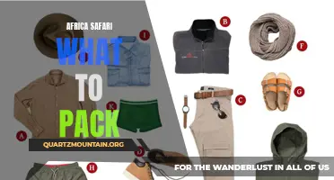 Essential Packing Tips for Your Africa Safari Adventure
