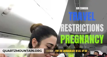 Understanding Air Canada's Travel Restrictions for Pregnant Passengers