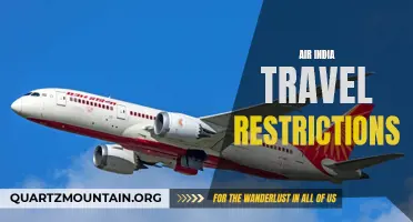 Navigating the Latest Air India Travel Restrictions