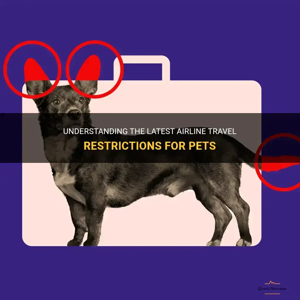 airline travel restrictions for pets