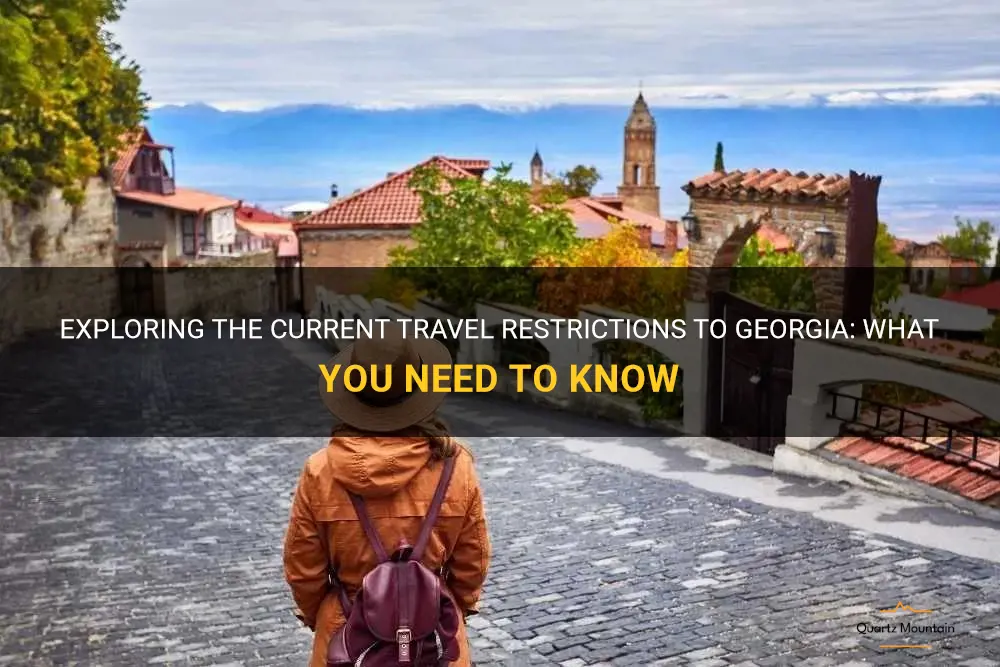 any travel restrictions to georgia