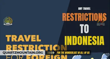 Exploring the Latest Travel Restrictions to Indonesia: What You Need to Know