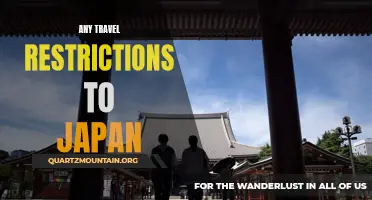 Exploring Japan: Navigating Travel Restrictions and Requirements for a Safe Journey