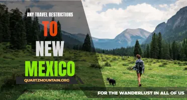 What You Need to Know About Travel Restrictions to New Mexico