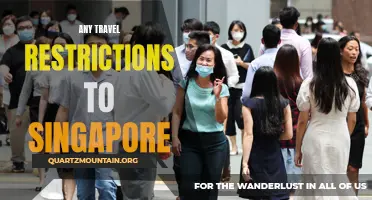 Exploring Singapore: Understanding Current Travel Restrictions and Guidelines