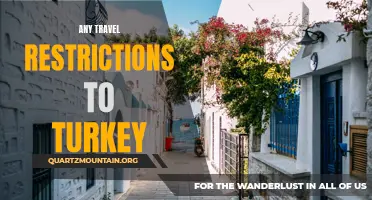 Current Travel Restrictions to Turkey: What You Need to Know Before Planning Your Trip