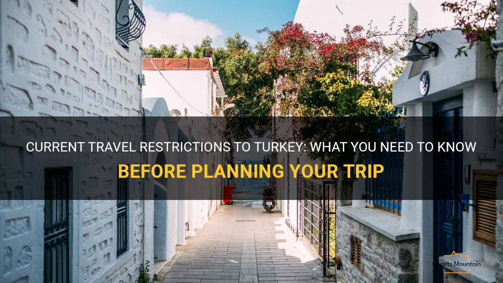 any travel restrictions to turkey