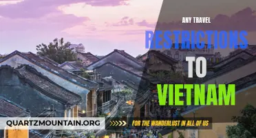 Understanding the Travel Restrictions to Vietnam during the COVID-19 Pandemic