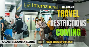 Is a Return to Domestic Travel Restrictions on the Horizon?