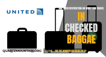 Are There Restrictions on What Can Travel in Checked Baggage?