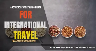 Understanding Nut Restrictions for International Travel