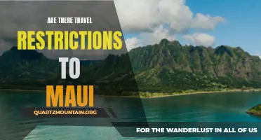 Exploring Paradise: Are There Travel Restrictions to Maui?