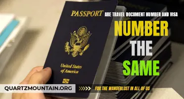 Understanding the Differences Between a Travel Document Number and Visa Number