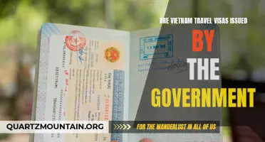 Exploring the Process of Government-Issued Vietnam Travel Visas
