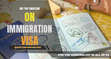 Navigating Immigration: What You Need to Know Before Traveling