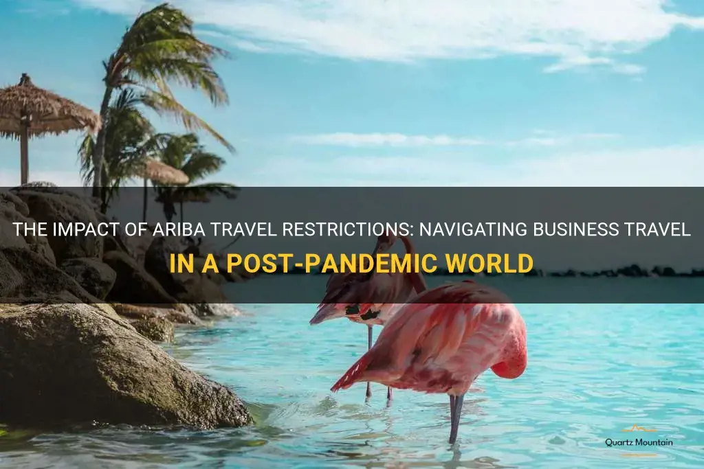 ariba travel restrictions