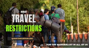 Exploring the Impact of Asylee Travel Restrictions on Individuals in Need of Protection