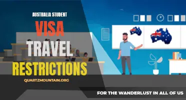 Understanding the Impact of Travel Restrictions on Australia Student Visa Holders