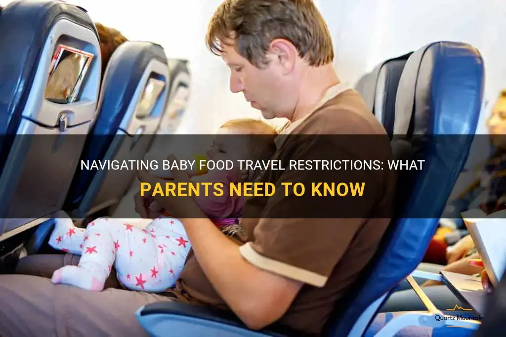 baby food travel restrictions